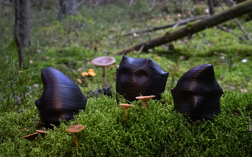 Ikiaikaisten asioiden äärellä