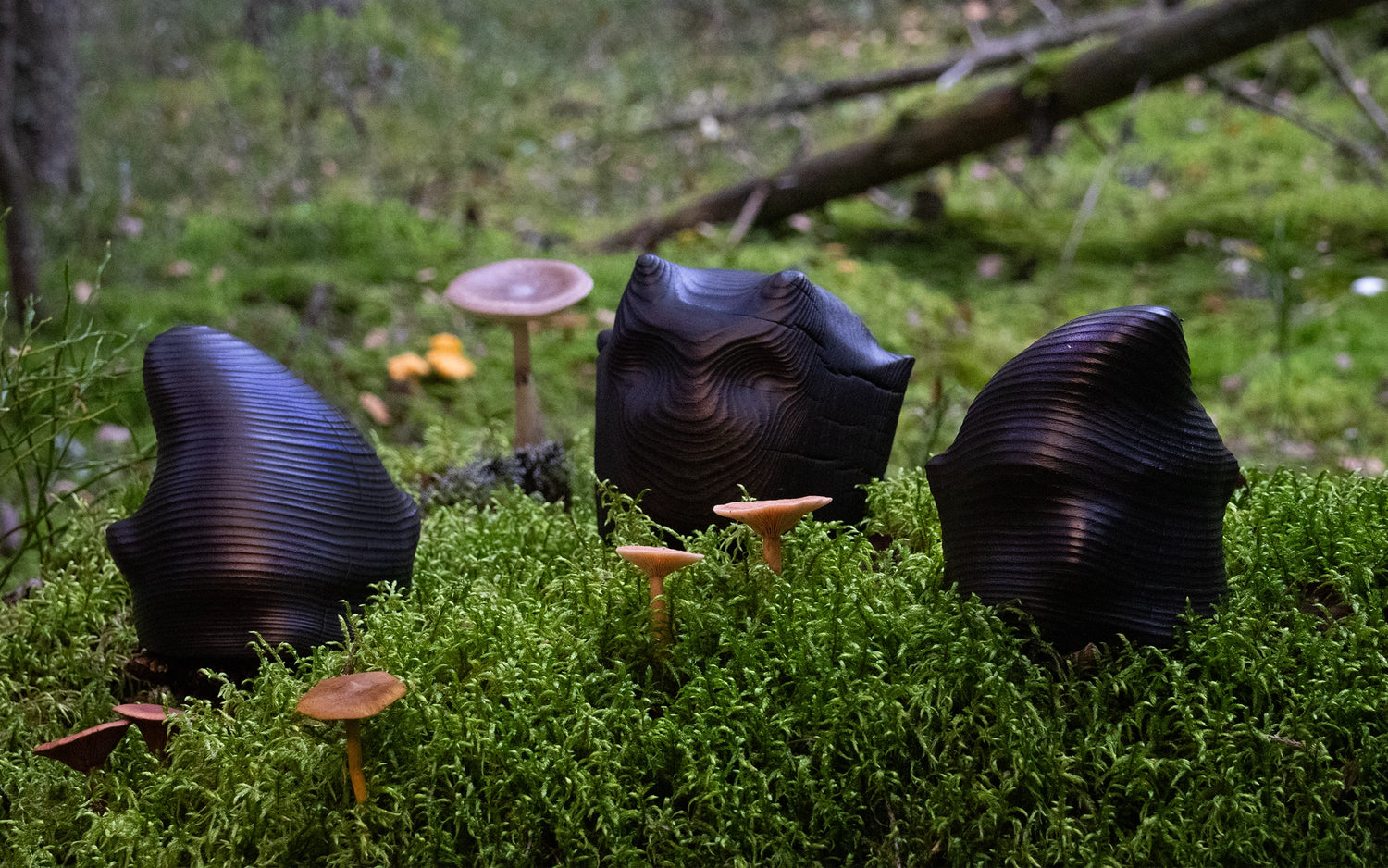 Tapion väki -figuurit, kaikki hahmot