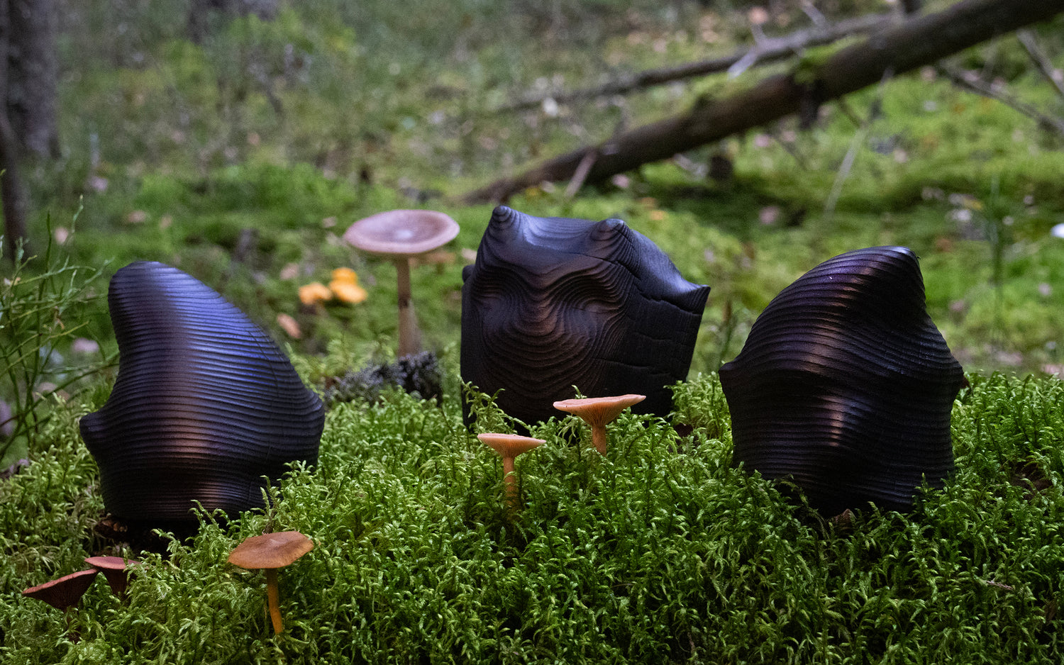 Kodinhaltija -figuuri, musta puu